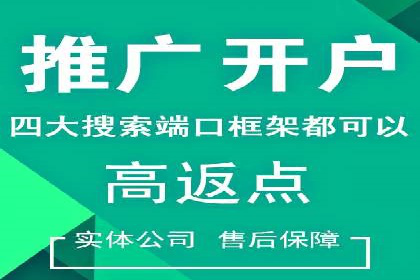 百度推广案例：成功打造行业领军品牌